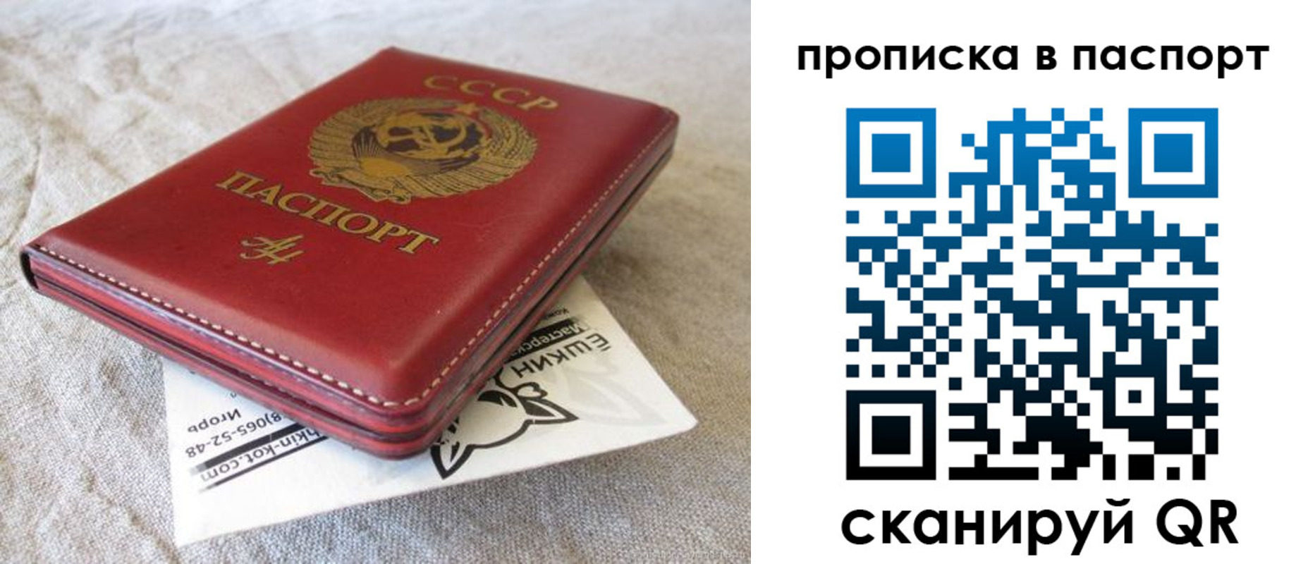 прописка штамп в Вязьме